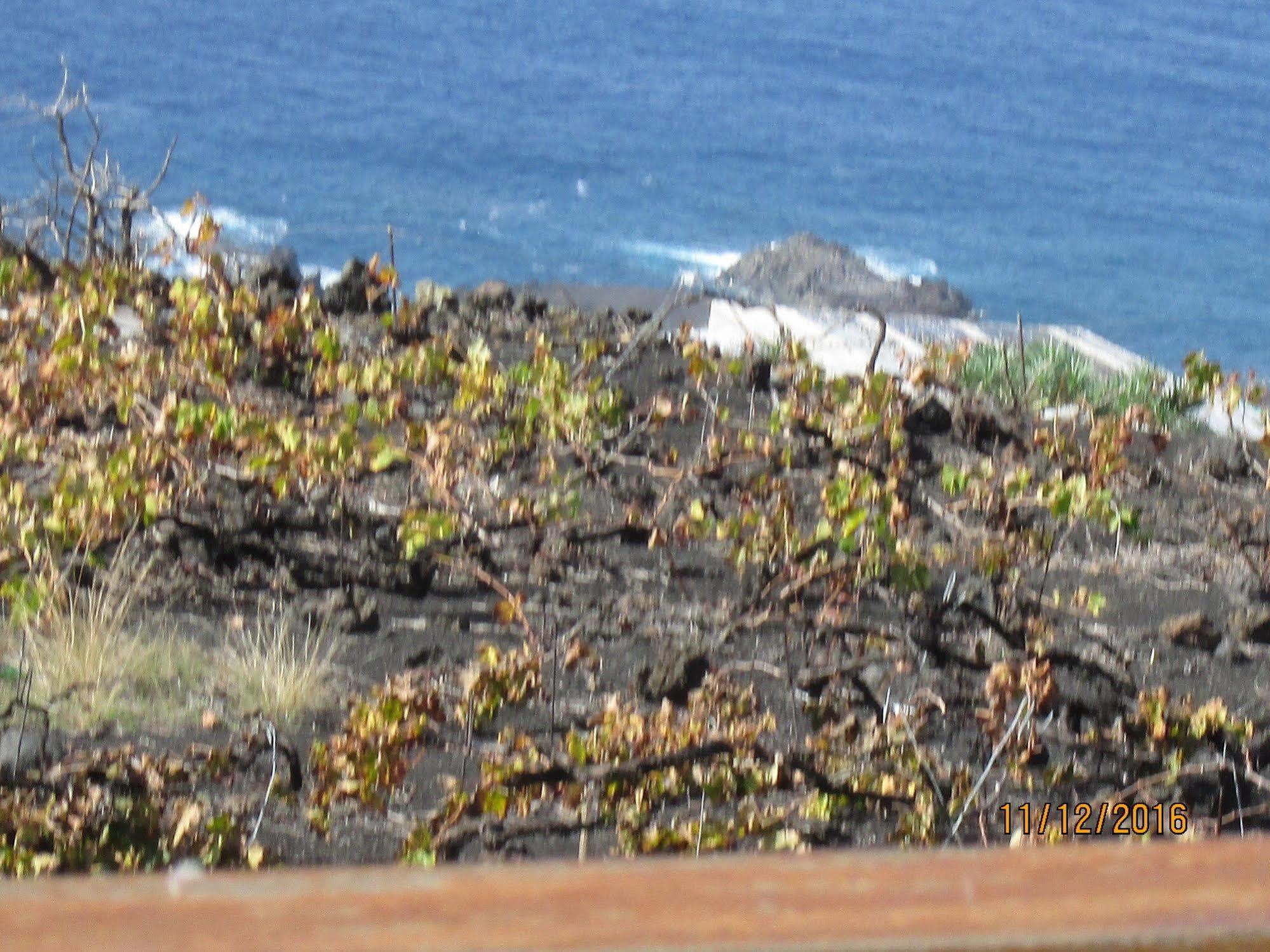 Casa Las Las Vinas Fuencaliente de la Palma Exterior foto